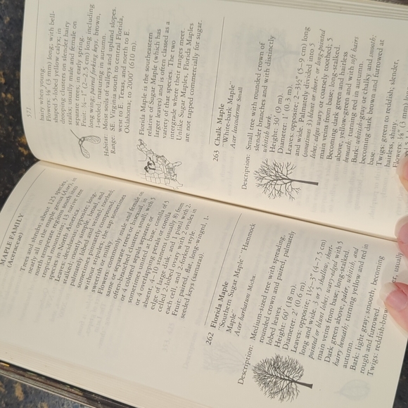 The Audubon Society Field Guide to North American Trees Eastern Region - Picture 7 of 7